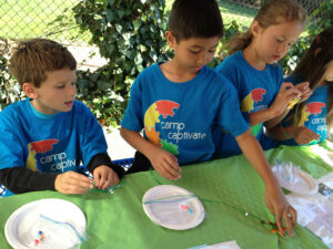 IMG_1323 copy 3