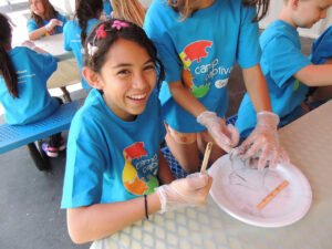 SquidDissection 2